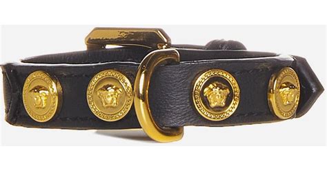 versace dog collar ebay|Versace dog accessories.